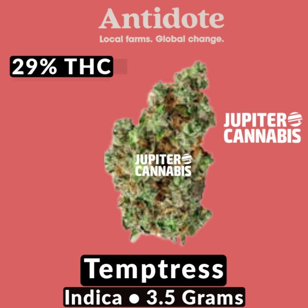 Antidote Temptress 3.5g