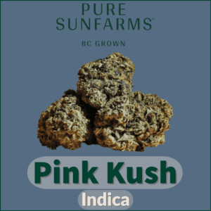 Pink Kush