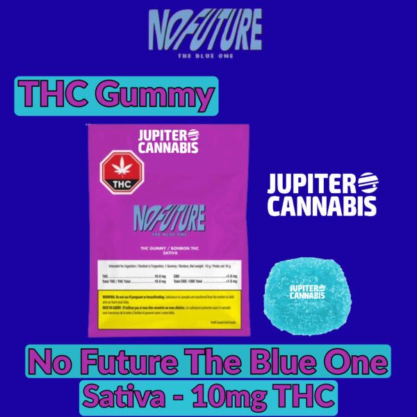 No Future The Blue One Sativa