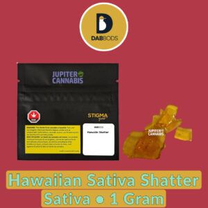 Dab Bods Hawaiian Sativa Shatter