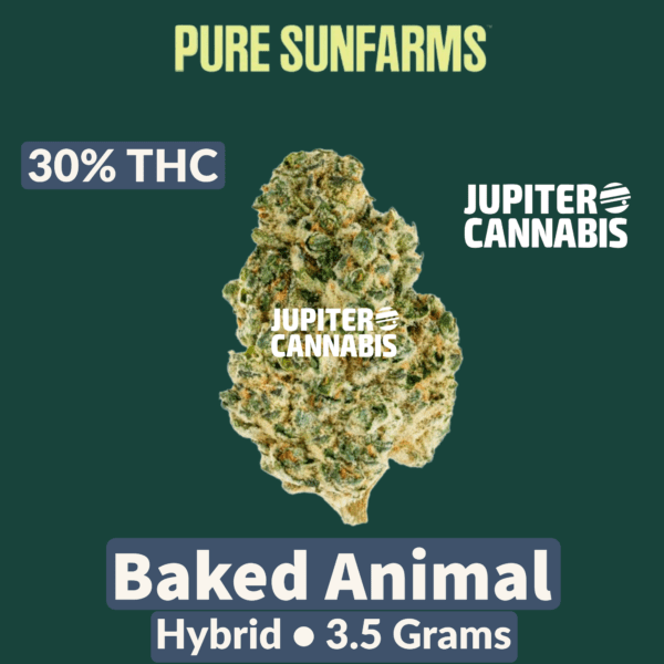 Pure Sunfarms Baked Animal