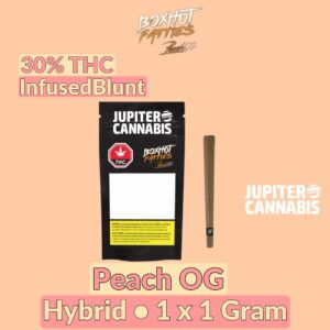 BoxHot Fatties Peach OG Infused Blunt