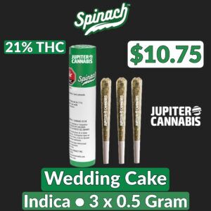 Spinach Wedding Cake 3 Pack