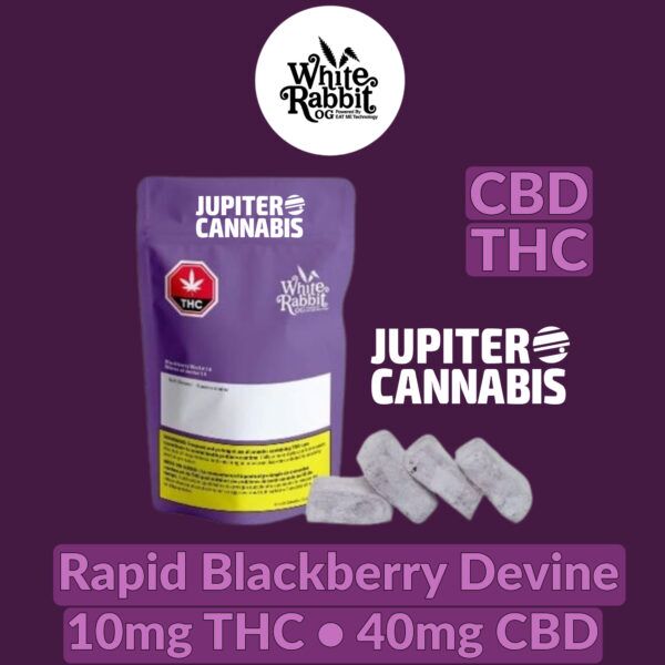 White Rabbit Rapid Blackberry Devine 4:1 Gummies