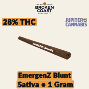 Broken Coast EmergenZ Blunt 1g