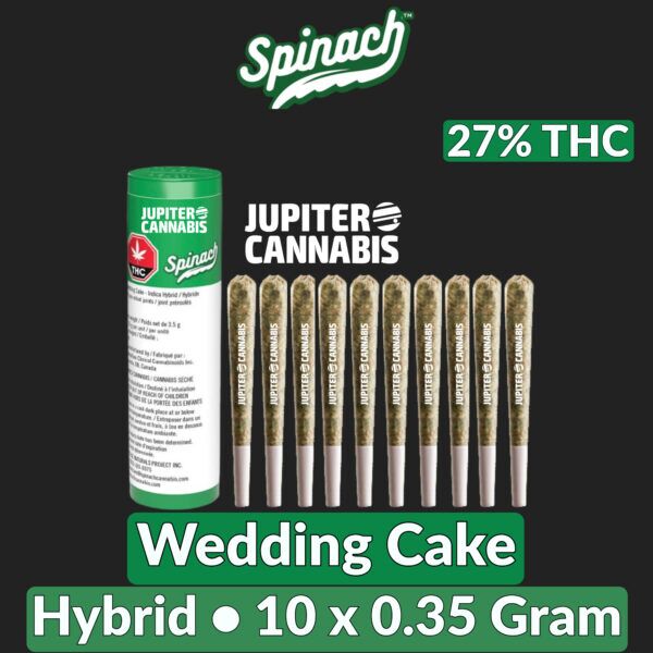 Spinach Wedding Cake 10 Pack