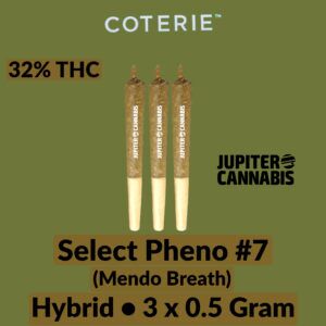 Coterie Select Pheno #7 3 Pack