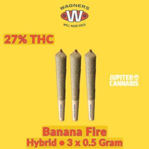 Wagners Banana Fire 3 Pack