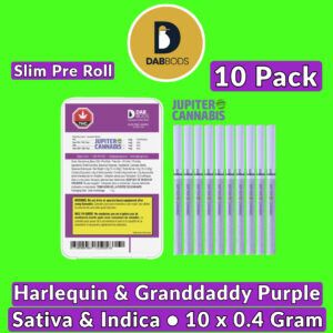 Dab Bods Harlequin & Granddaddy Purple Pre Slim Rolls 10 Pack