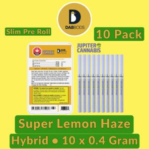 Dab Bods Super Lemon Haze 10 Pack