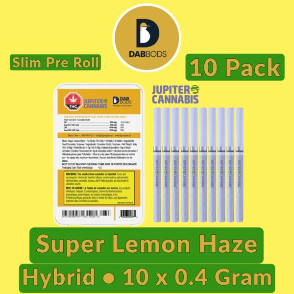 Dab Bods Super Lemon Haze 10 Pack