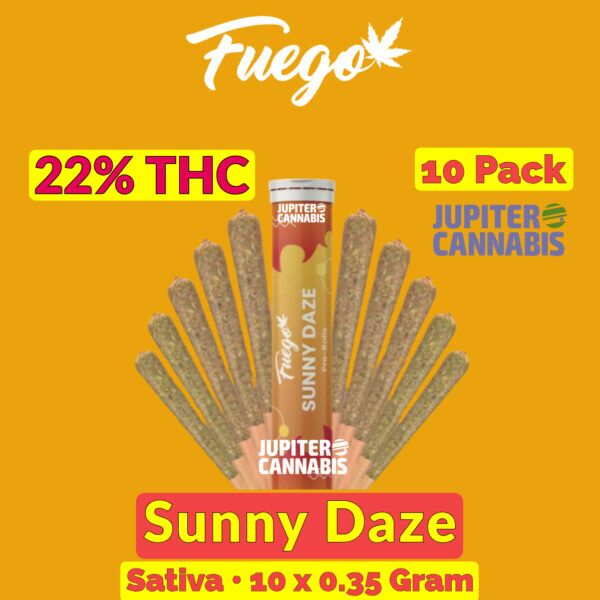 Fuego Sunny Daze 10 Pack