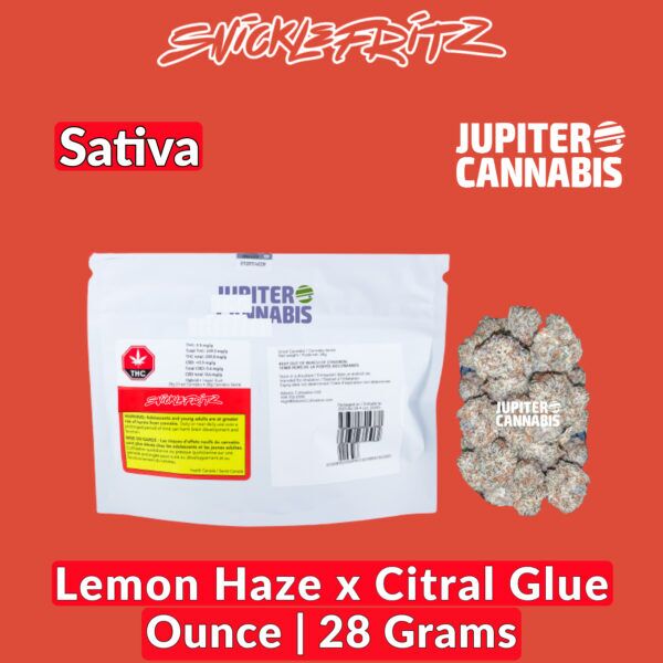 Snicklefritz Lemon Haze x Citral Glue Ounce