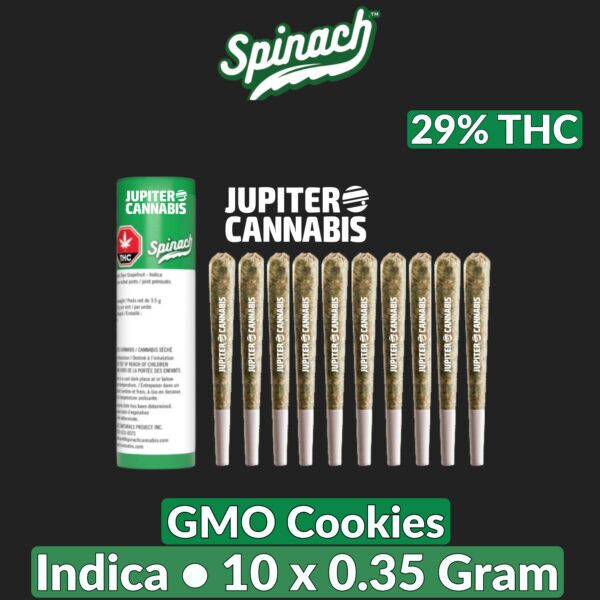 Spinach GMO Cookies 10 Pack