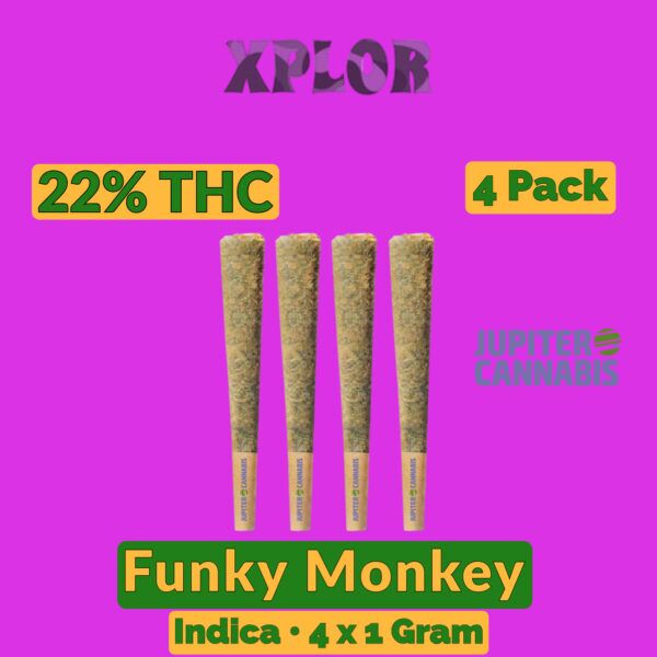 Xplor Funky Monkey 1g Joint 4 Pack