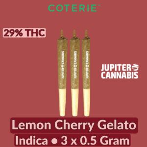 Coterie Lemon Cherry Gelato 3 Pack