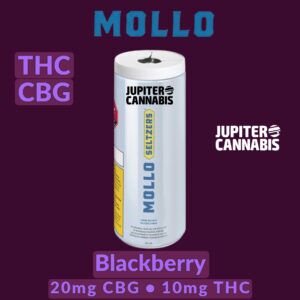 Mollo Blackberry THC:CBG Seltzer