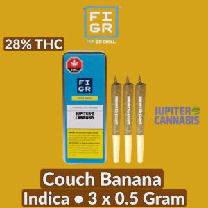 FIGR Couch Banana 3 Pack