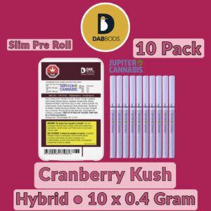 Dab Bods Cranberry Kush Super Slim Electric Dartz 10 Pack