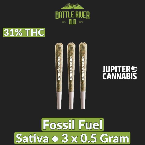 Battle River Bud Fossil Fuel 3 Pack