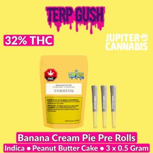 Terp Gush Banana Cram Pie (Peanut Butter Cake) 3 Pack