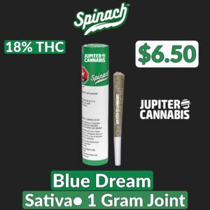 Spinach Blue Dream 1g Joint