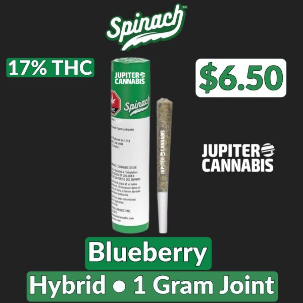 Spinach Blueberry 1g Joint