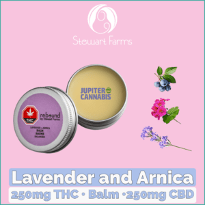 Rebound by Stewart Farms Lavender and Arnica Balm