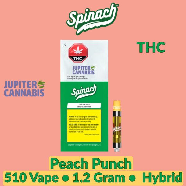 Spinach Peach Punch 1.2 g Vape