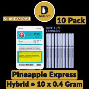 Dab Bods Electric Dartz Pineapple Express Pre Rolls