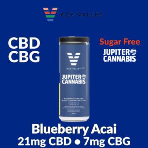 Ace Valley Blueberry Acai CBD:CBG Drink