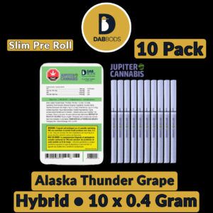 Dab Bods Electric Dartz Alaska Thunder Grape Pre Rolls