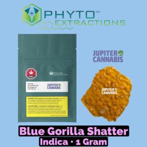 Phyto Blue Gorilla Shatter
