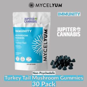 IMMUNITY with Turkey Tail Mushroom Gummies