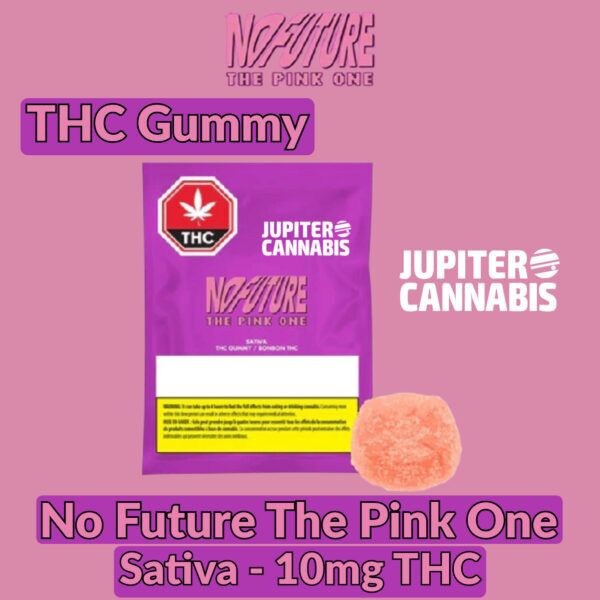 No Future The Pink One Sativa