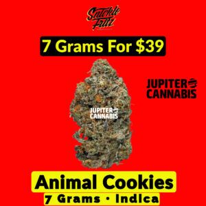 Snicklefritz Animal Cookies 7 g