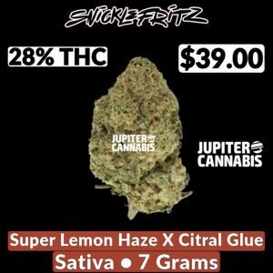 Snicklefritz Lemon Haze x Citral Glue 7 g