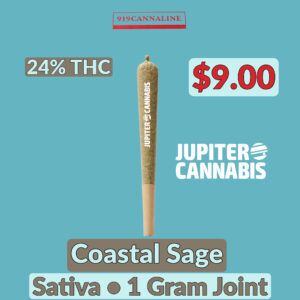 919 Cannaline Coastal Sage Joint