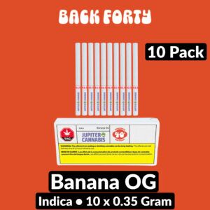 Back Forty Banana OG 10 Pack