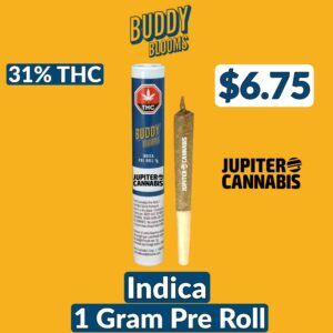 Buddy Blooms Indica 1g Pre-Roll