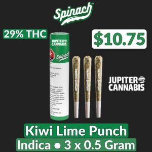 Spinach Kiwi Lime Punch 3 Pack