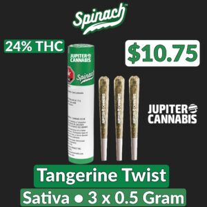 Spinach Tangerine Twist 3 Pack