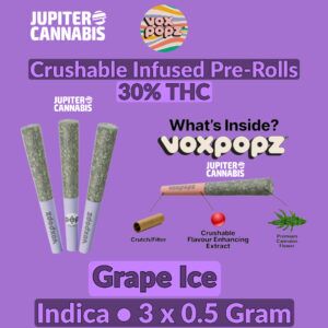 Vox Popz Grape Ice Crushable Infused Pre-Rolls