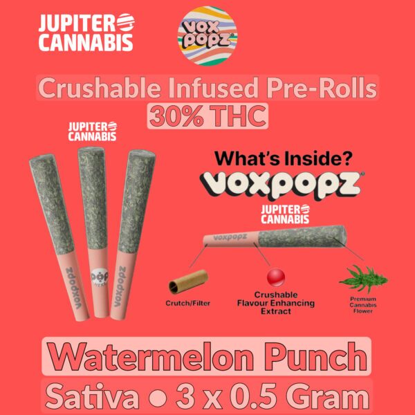 Vox Popz Watermelon Punch Crushable Infused Pre-Rolls