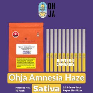 Ohja Amnesia Haze 10 Pack