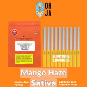 Ohja Mango Haze 10 Pack