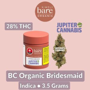 Simply Bare BC Organic Bridesmaid