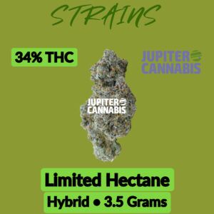 Strains Limited Hectane