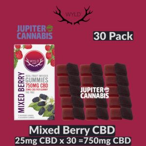 Wyld Mixed Berry CBD 30 Pack Gummies