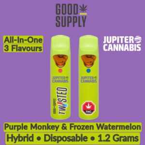 Good Supply Twisted All in One Purple Monkey & Frozen Watermelon Vape